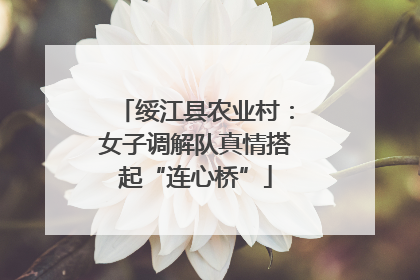 绥江县农业村：女子调解队真情搭起“连心桥”