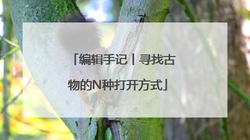 编辑手记丨寻找古物的N种打开方式
