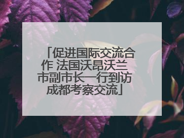促进国际交流合作 法国沃昂沃兰市副市长一行到访成都考察交流