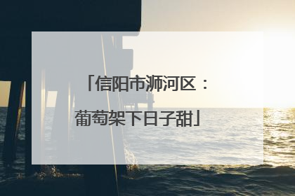 信阳市浉河区：葡萄架下日子甜