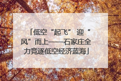 低空“起飞” 迎“风”而上——石家庄全力竞逐低空经济蓝海