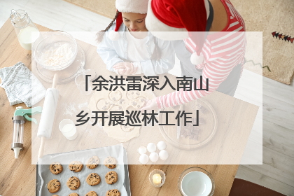 余洪雷深入南山乡开展巡林工作