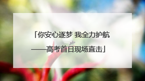 你安心逐梦 我全力护航——高考首日现场直击