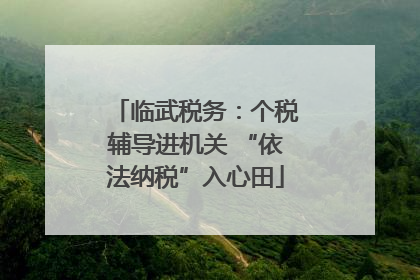临武税务：个税辅导进机关 “依法纳税”入心田