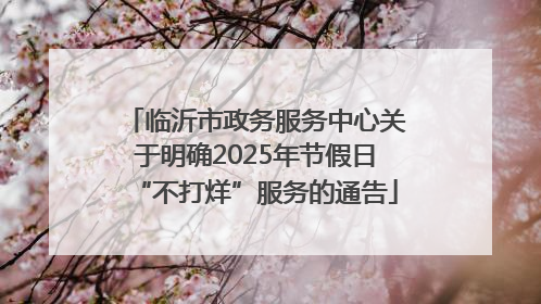 临沂市政务服务中心关于明确2025年节假日“不打烊”服务的通告