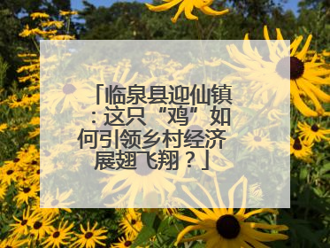 临泉县迎仙镇：这只“鸡”如何引领乡村经济展翅飞翔？