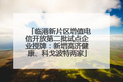 临港新片区增值电信开放第二批试点企业授牌：新增高济健康、科戈波特两家