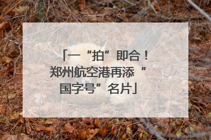 一“拍”即合！郑州航空港再添“国字号”名片
