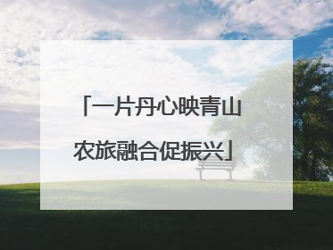 一片丹心映青山 农旅融合促振兴