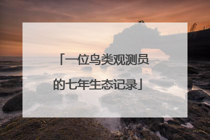 一位鸟类观测员的七年生态记录