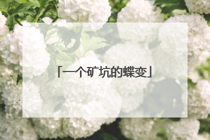 一个矿坑的蝶变