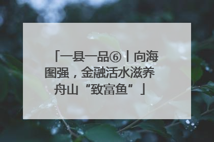 一县一品⑥丨向海图强,金融活水滋养舟山“致富鱼”