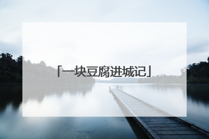 一块豆腐进城记