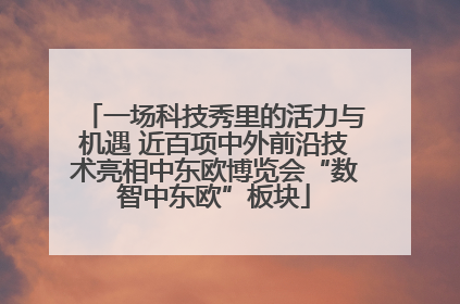 一场科技秀里的活力与机遇 近百项中外前沿技术亮相中东欧博览会“数智中东欧”板块