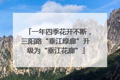 一年四季花开不断，三阳路“垂江绿廊”升级为“垂江花廊”