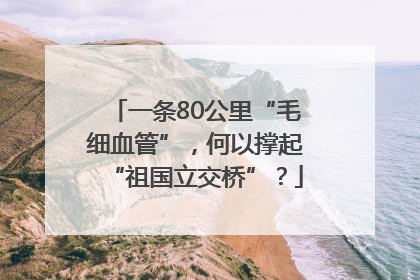 一条80公里“毛细血管”，何以撑起“祖国立交桥”？