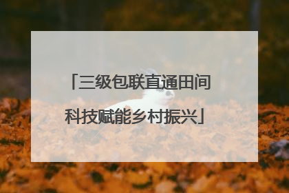 三级包联直通田间 科技赋能乡村振兴