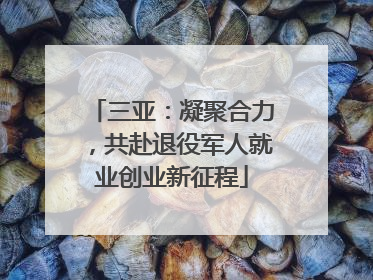 三亚：凝聚合力，共赴退役军人就业创业新征程