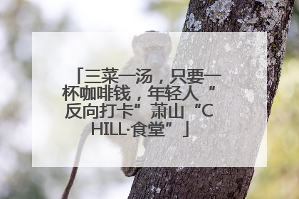 三菜一汤，只要一杯咖啡钱，年轻人“反向打卡”萧山“CHILL·食堂”