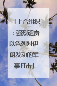 上合组织：强烈谴责以色列对伊朗发动的军事打击