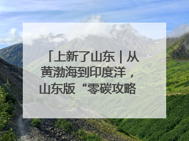 上新了山东｜从黄渤海到印度洋，山东版“零碳攻略”有多能打？