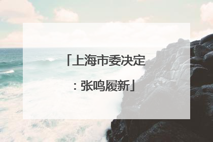 上海市委决定：张鸣履新