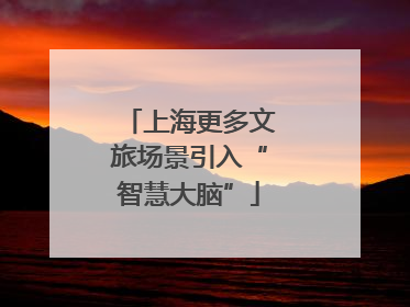 上海更多文旅场景引入“智慧大脑”