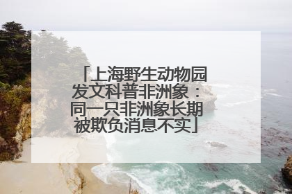 上海野生动物园发文科普非洲象：同一只非洲象长期被欺负消息不实