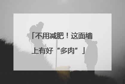 不用减肥！这面墙上有好“多肉”