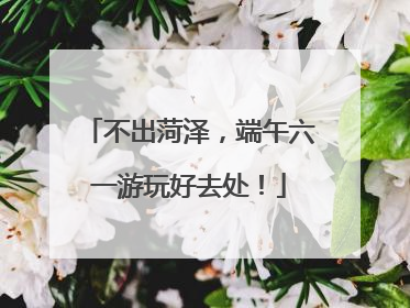 不出菏泽，端午六一游玩好去处！