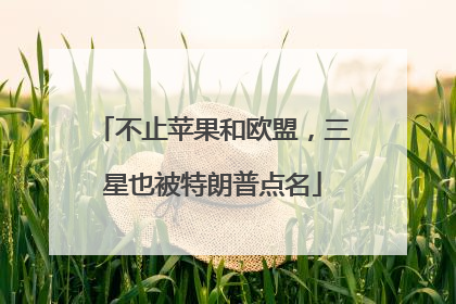 不止苹果和欧盟，三星也被特朗普点名