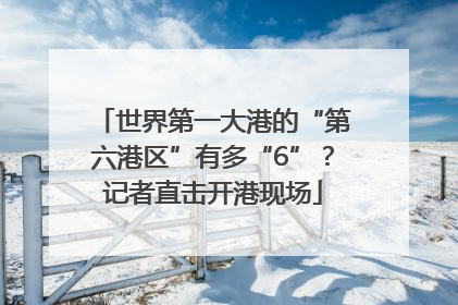 世界第一大港的“第六港区”有多“6”？记者直击开港现场