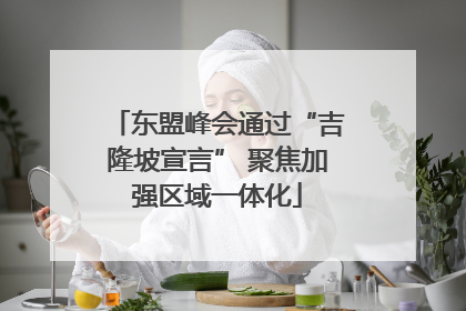 东盟峰会通过“吉隆坡宣言” 聚焦加强区域一体化