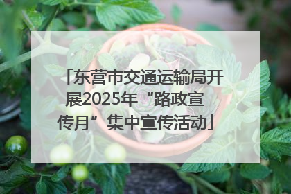 东营市交通运输局开展2025年“路政宣传月”集中宣传活动