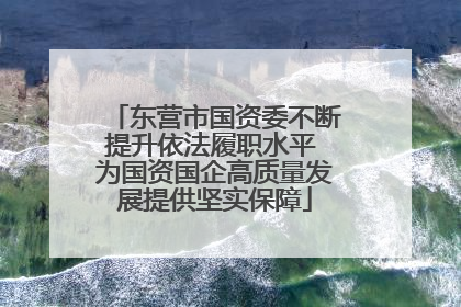 东营市国资委不断提升依法履职水平 为国资国企高质量发展提供坚实保障