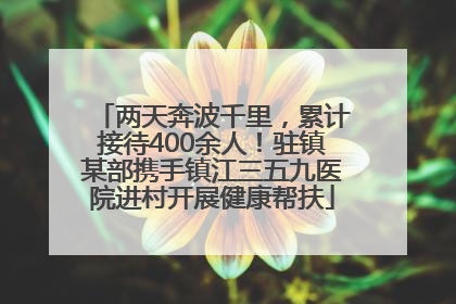 两天奔波千里，累计接待400余人！驻镇某部携手镇江三五九医院进村开展健康帮扶