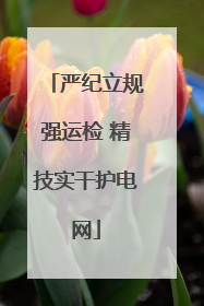 严纪立规强运检 精技实干护电网