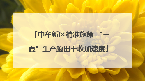 中牟新区精准施策 “三夏”生产跑出丰收加速度