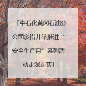 中石化黄冈石油分公司多措并举推进“安全生产月”系列活动走深走实