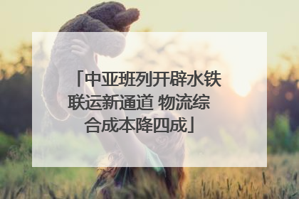 中亚班列开辟水铁联运新通道 物流综合成本降四成