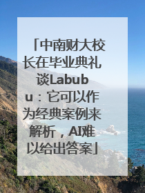 中南财大校长在毕业典礼谈Labubu：它可以作为经典案例来解析，AI难以给出答案