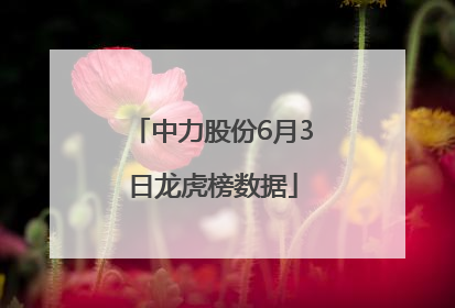 中力股份6月3日龙虎榜数据