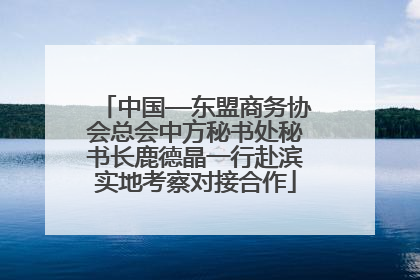 中国—东盟商务协会总会中方秘书处秘书长鹿德晶一行赴滨实地考察对接合作