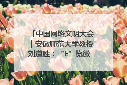 中国网络文明大会｜安徽师范大学教授刘道胜：“E”览徽风，构筑中华民族共有精神家园