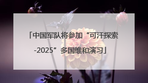 中国军队将参加“可汗探索-2025”多国维和演习
