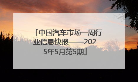 中国汽车市场一周行业信息快报——2025年5月第5期