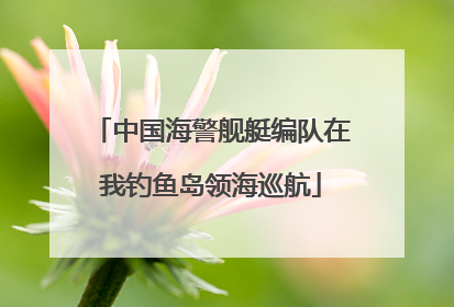 中国海警舰艇编队在我钓鱼岛领海巡航