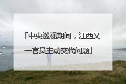 中央巡视期间，江西又一官员主动交代问题