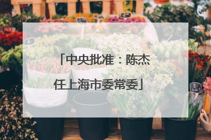 中央批准：陈杰任上海市委常委