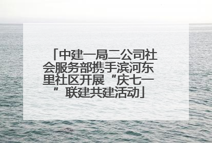 中建一局二公司社会服务部携手滨河东里社区开展“庆七一”联建共建活动